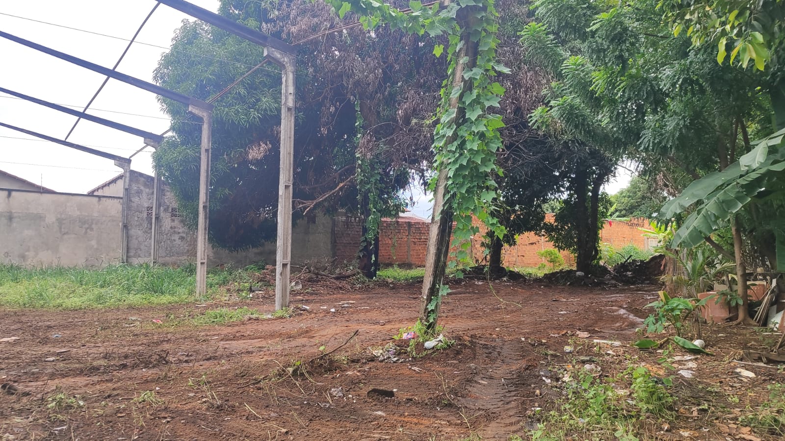 Após a limpeza na 407 norte