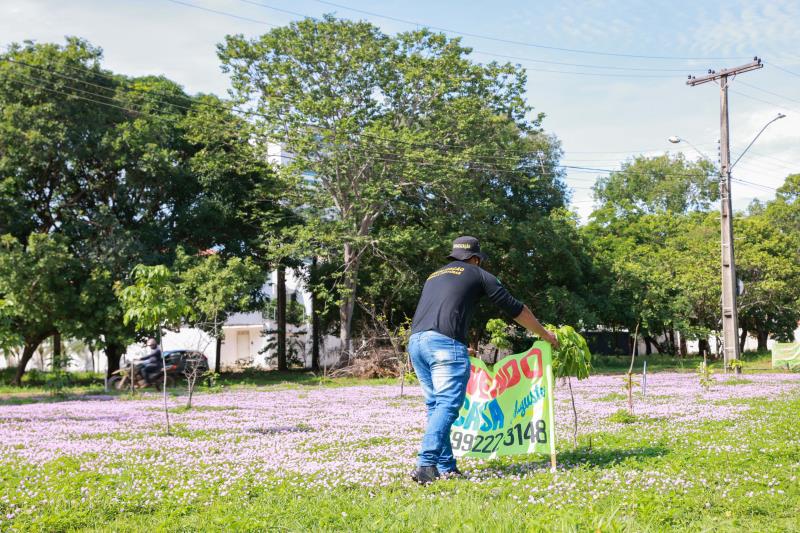 Fiscais de Obras e Posturas retiram materiais publicitários instalados irregularmente em área pública