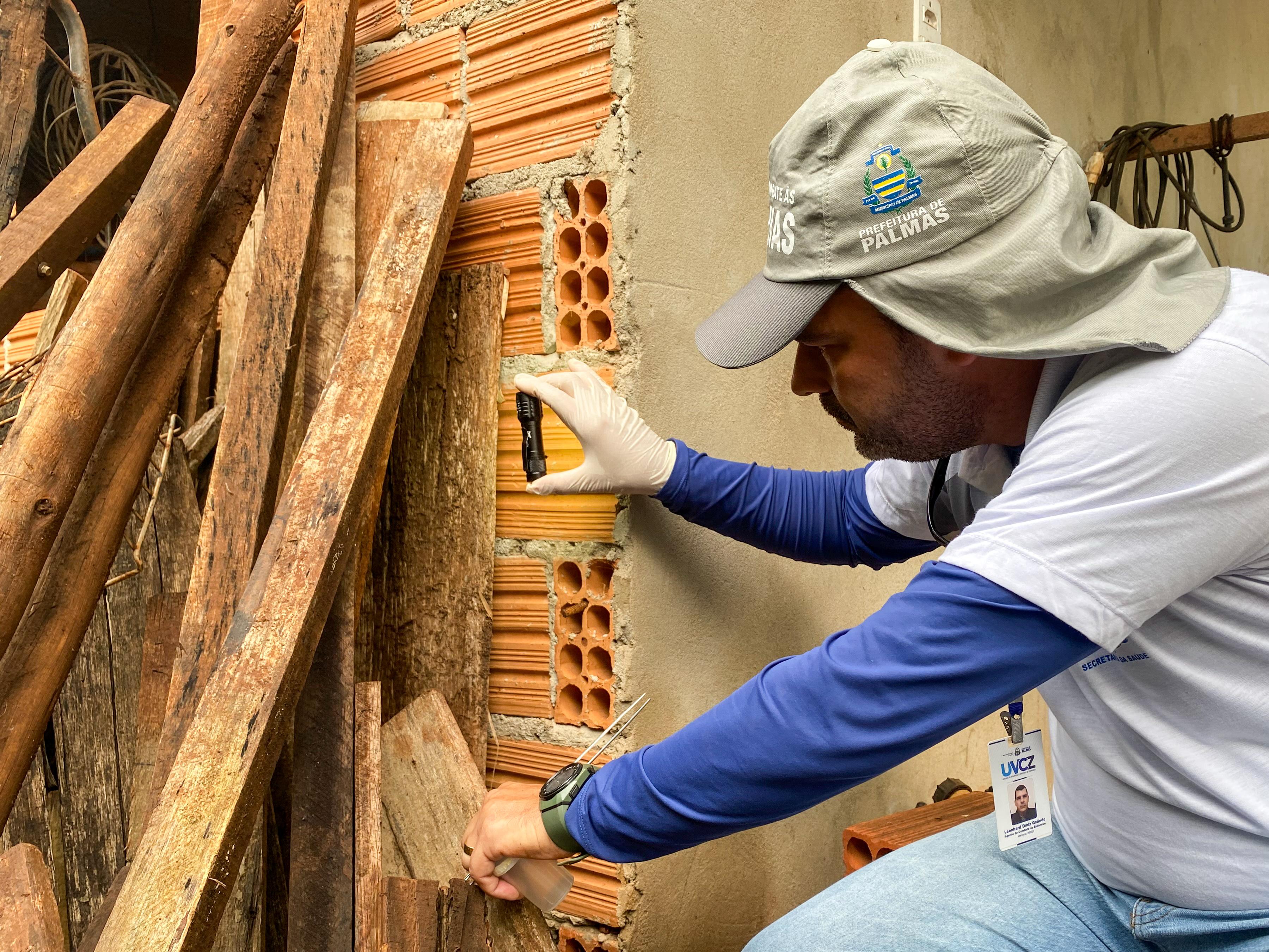 Agente da UVCZ durante busca ao inseto em Taquaruçu