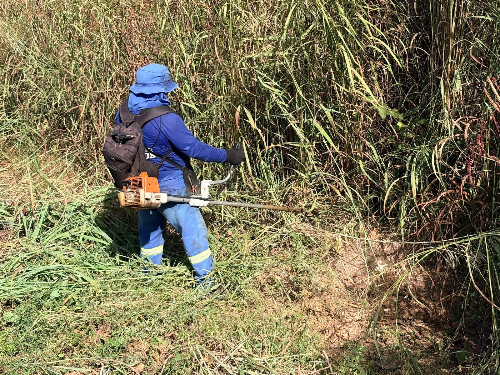 Prefeitura de Palmas realiza programação semanal de roçagem em bairros e avenidas da Capital