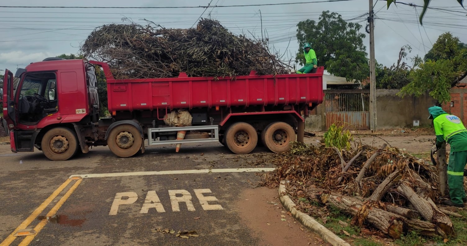 Prefeitura de Palmas pede colaboração da população para organização das podas