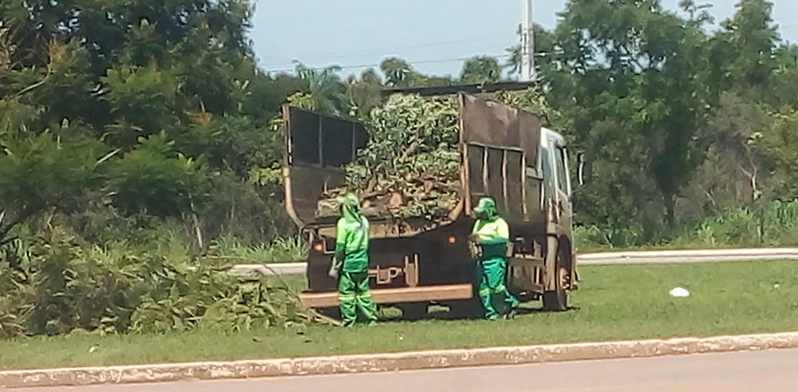 Média diária de coleta é de aproximadamente 75 toneladas