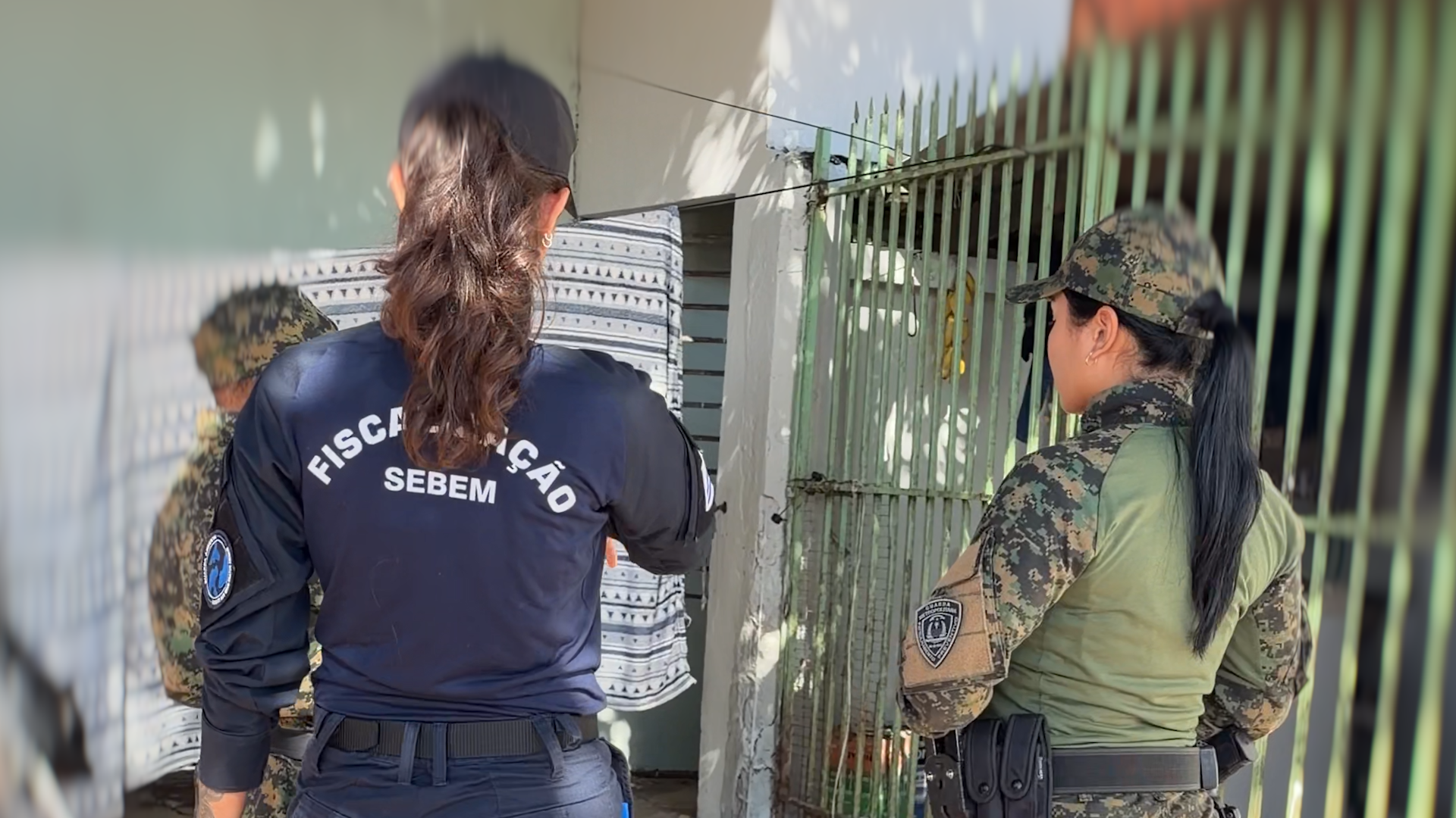 Prefeitura de Palmas acompanha seis denúncias de zoofilia e reforça combate aos maus-tratos