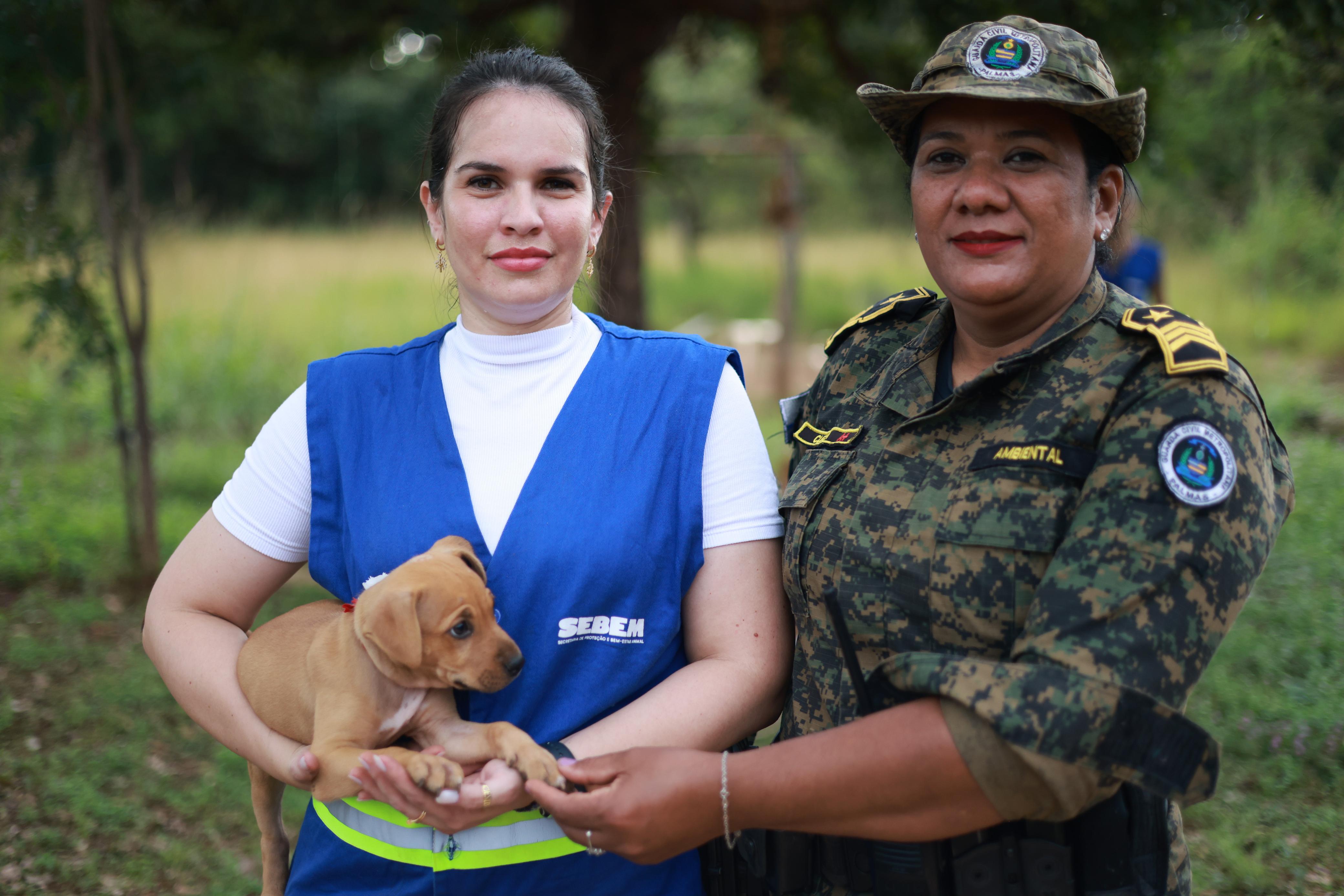 Ação conjunta na região Norte de Palmas para apuração de maus-tratos a animais.








