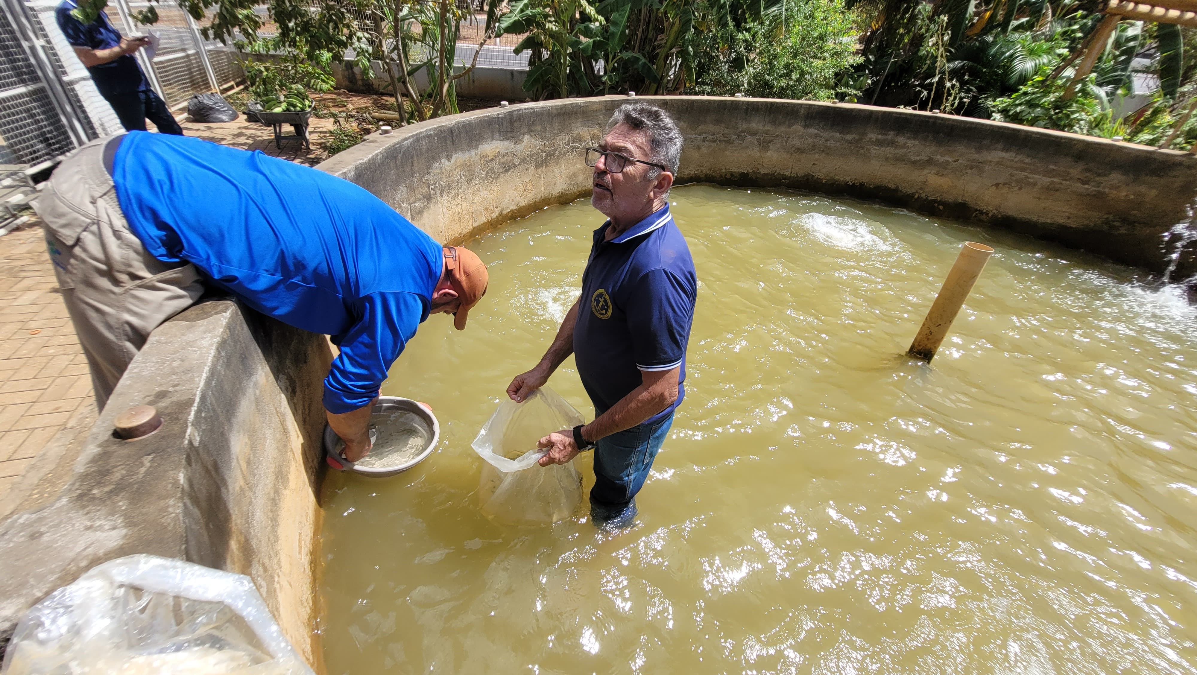ETI Almirante Tamandaré recebe 600 alevinos para ampliar a produção de peixes em parceria com a Embrapa