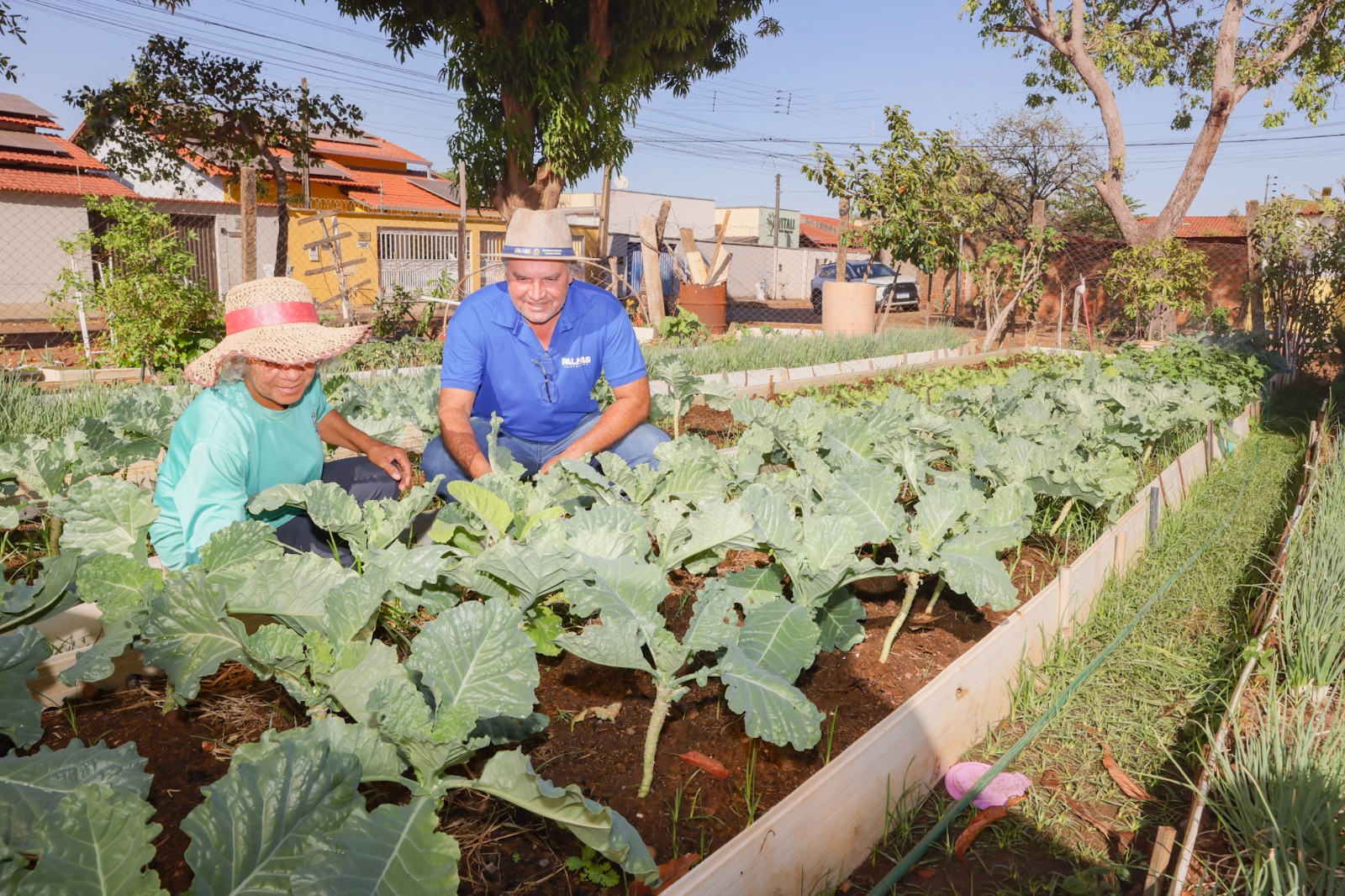 Secretaria de Agricultura e Comsea realizam visitas técnicas a agricultores beneficiados por projetos sociais de distribuição de alimentos