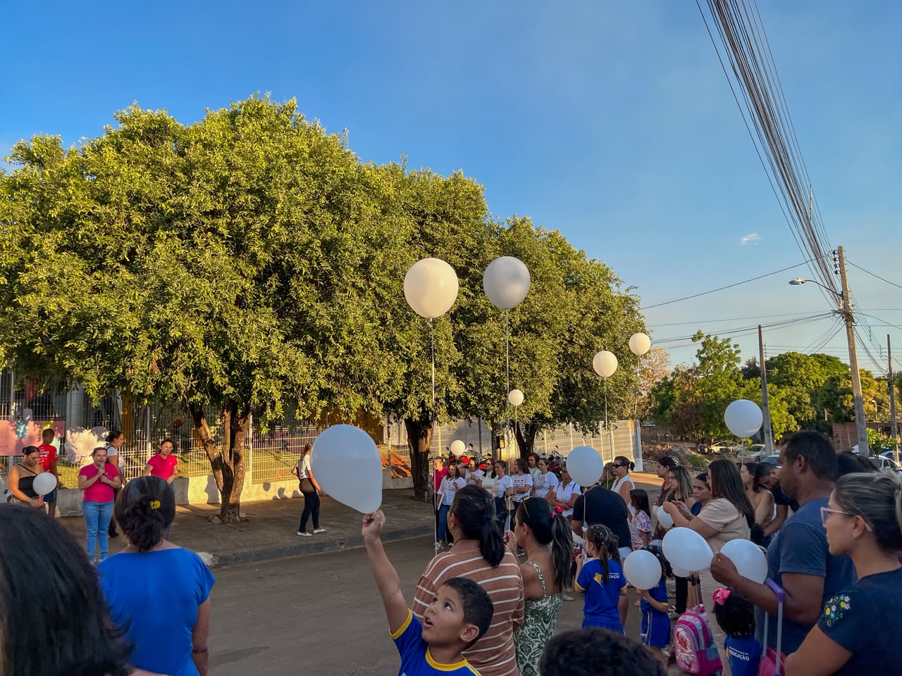 Mobilização reuniu familiares, profissionais da educação e integrantes da comunidade escolar  - João Antônio 
