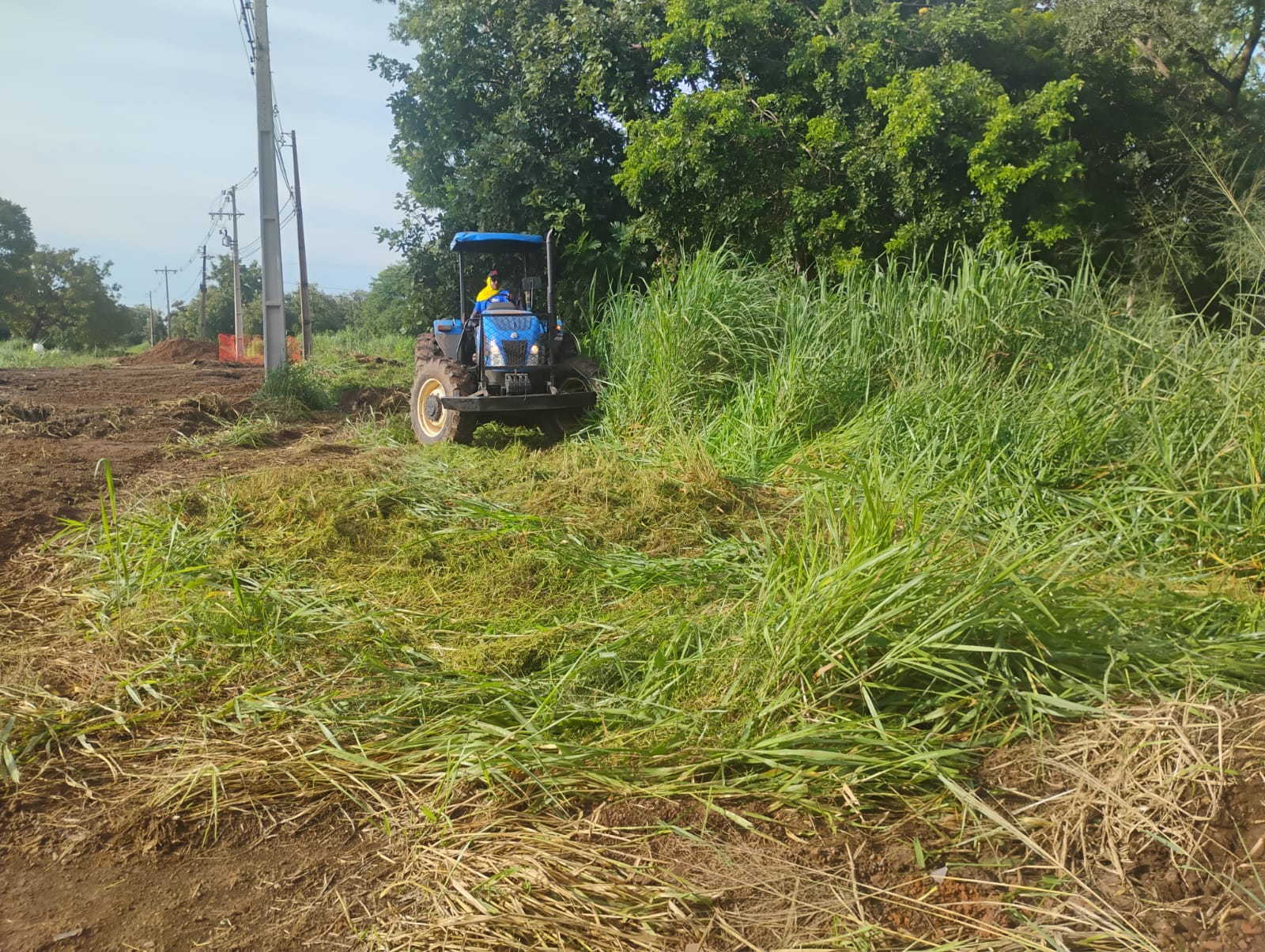 Roçagem de mato alto na 1404 Sul