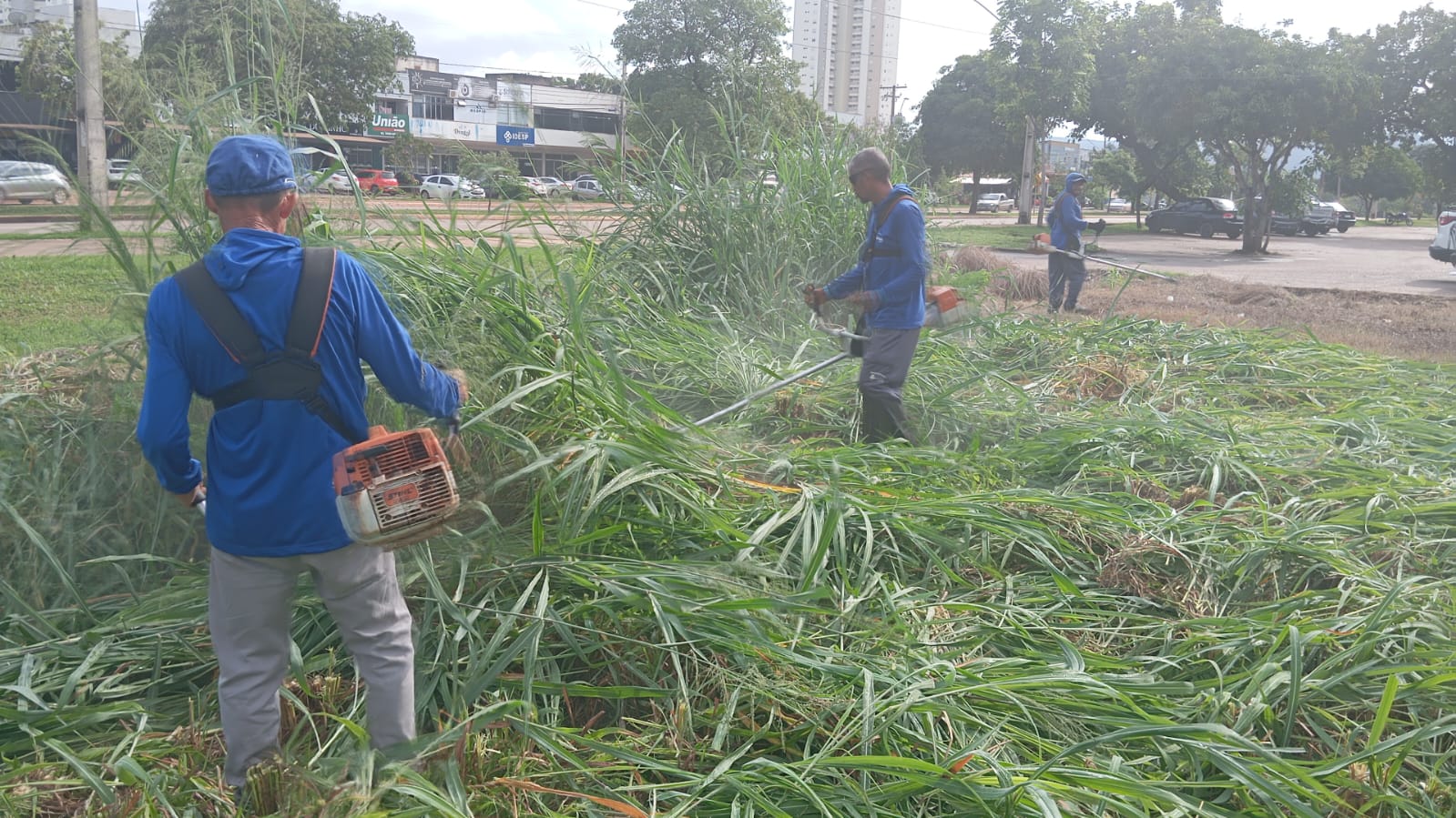 Roçagem de mato alto na Arse 51 (504 Sul)