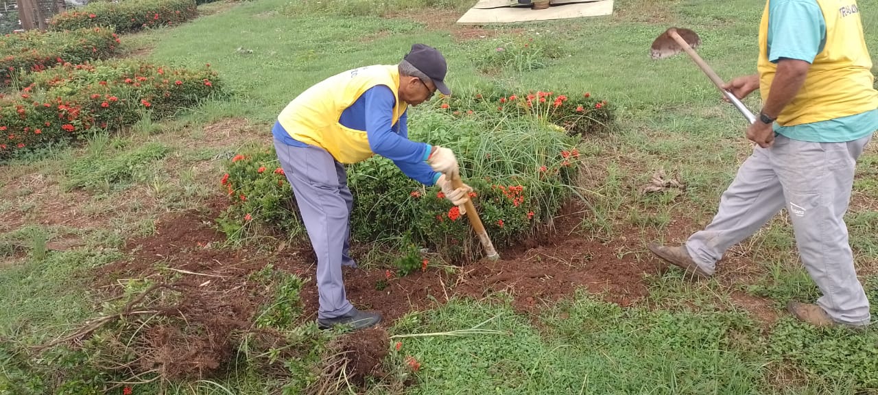 Paisagismo e manutenção na rotatória do relógio