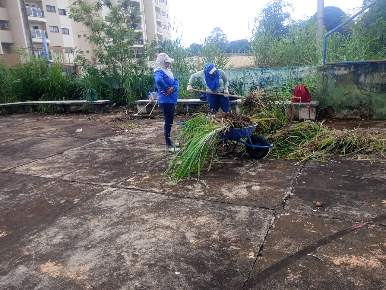 Retirada do mato na quadra poliesportiva da Arse 72