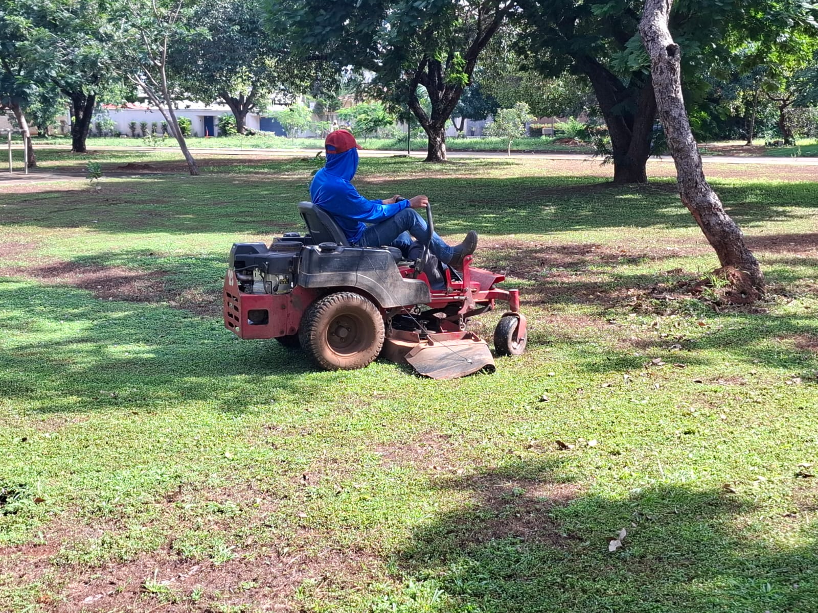 Corte de grama na Arse 14 (110 Norte)