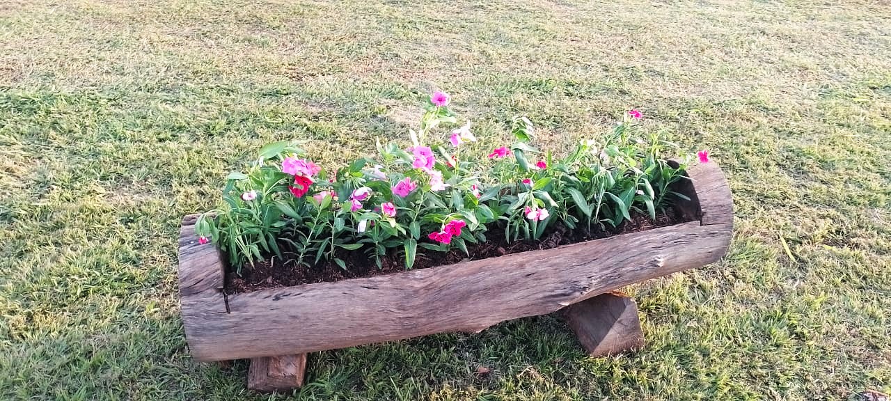 Plantio na rotatória do Ginásio Ayrton Senna