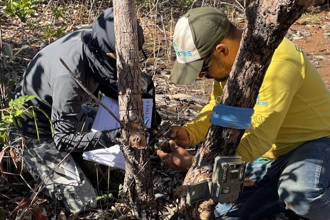 Local foi devidamente registrado em imagens para fins de comprovação e encaminhamento às autoridades competentes