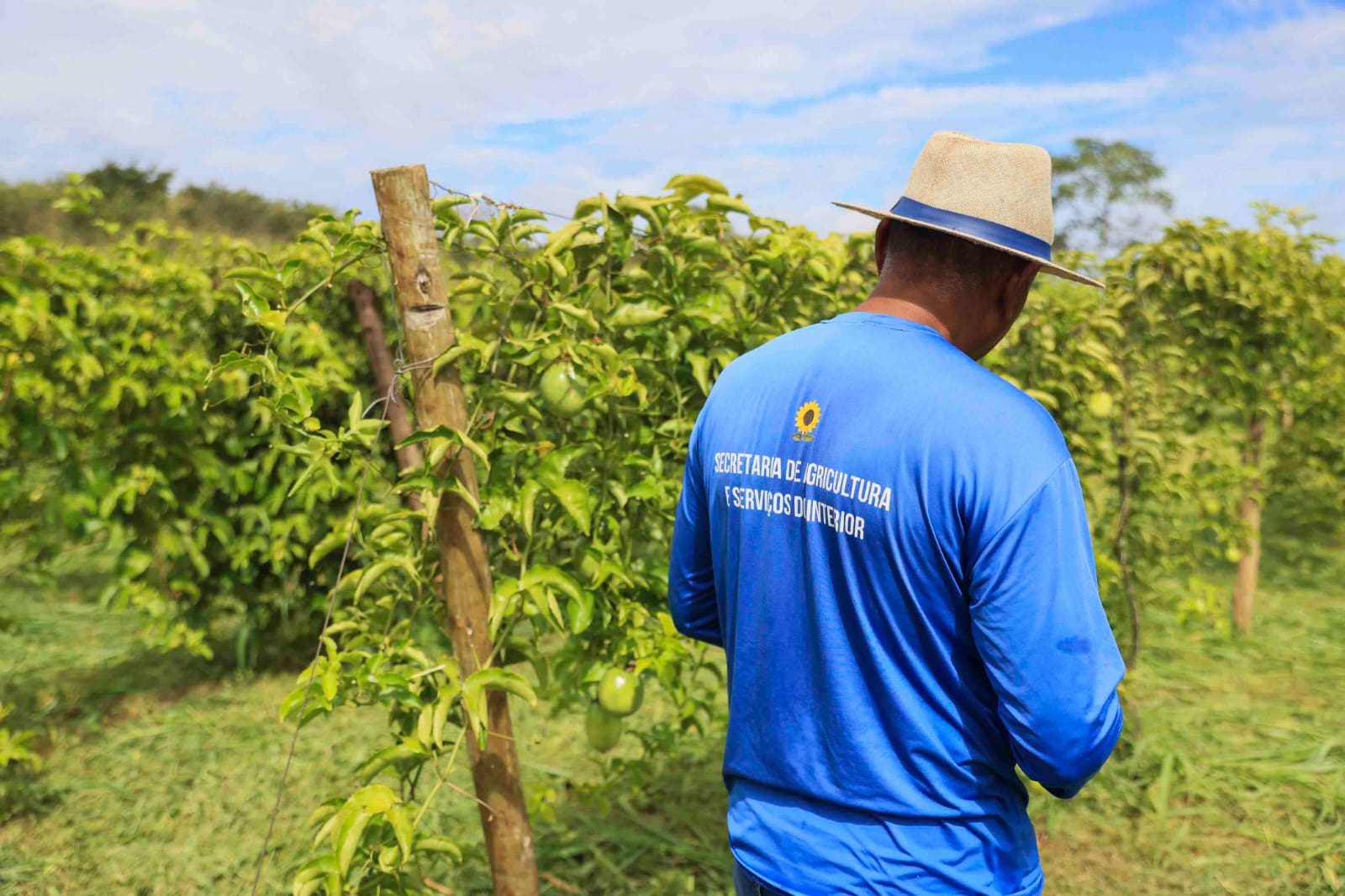 Prefeitura de Palmas prepara unidades demonstrativas e moderniza Fazendinha Agrícola para a Agrotins 2026