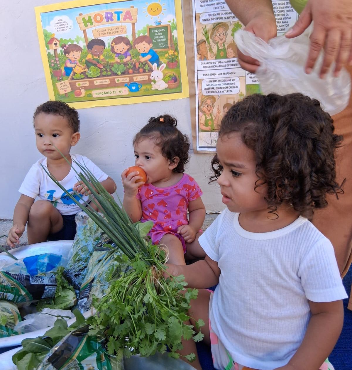 Cmei Cantinho Feliz leva crianças para conhecerem a Horta Ouro Verde em Taquaruçu