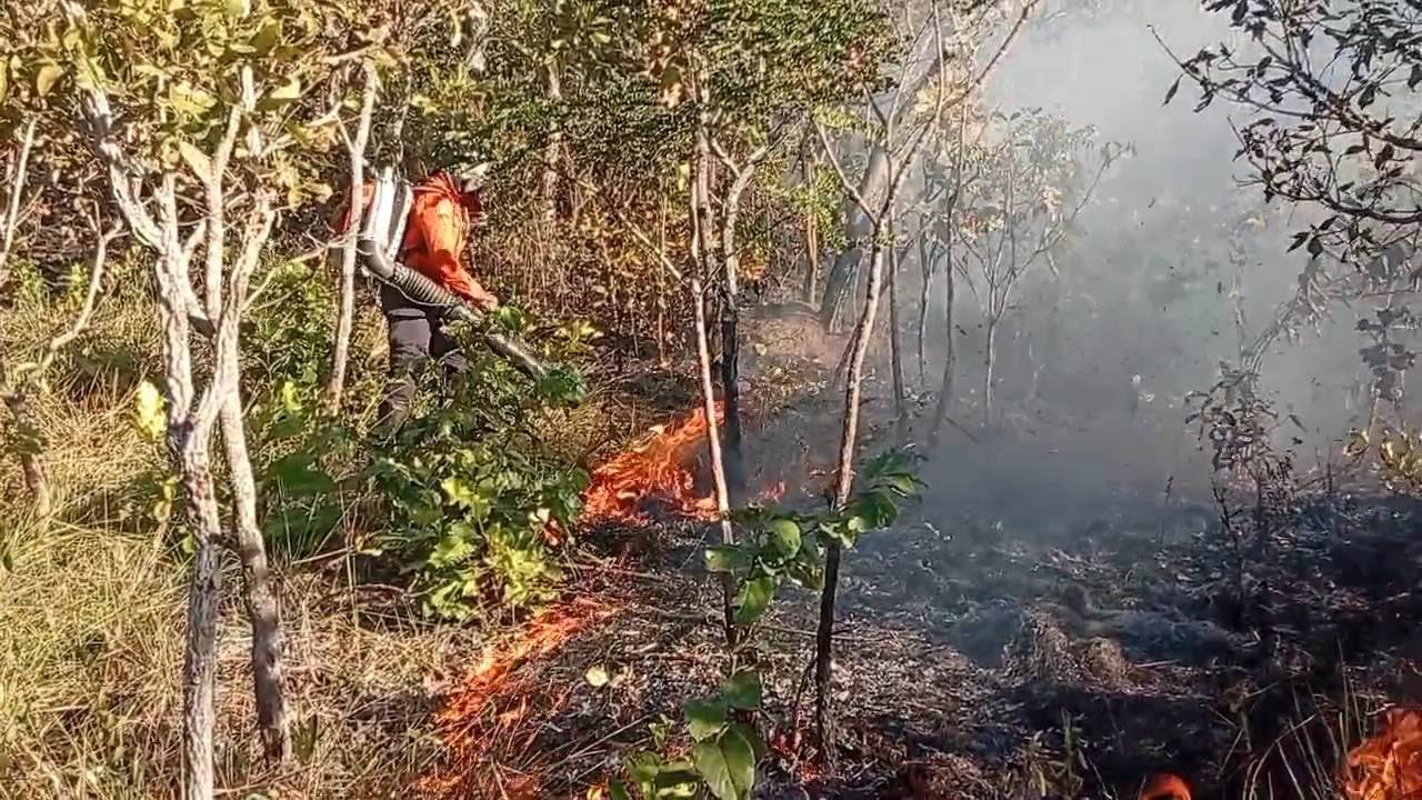Incêndio florestal mobiliza Defesa Civil em Taquaruçu que alerta para cuidados durante período de estiagem