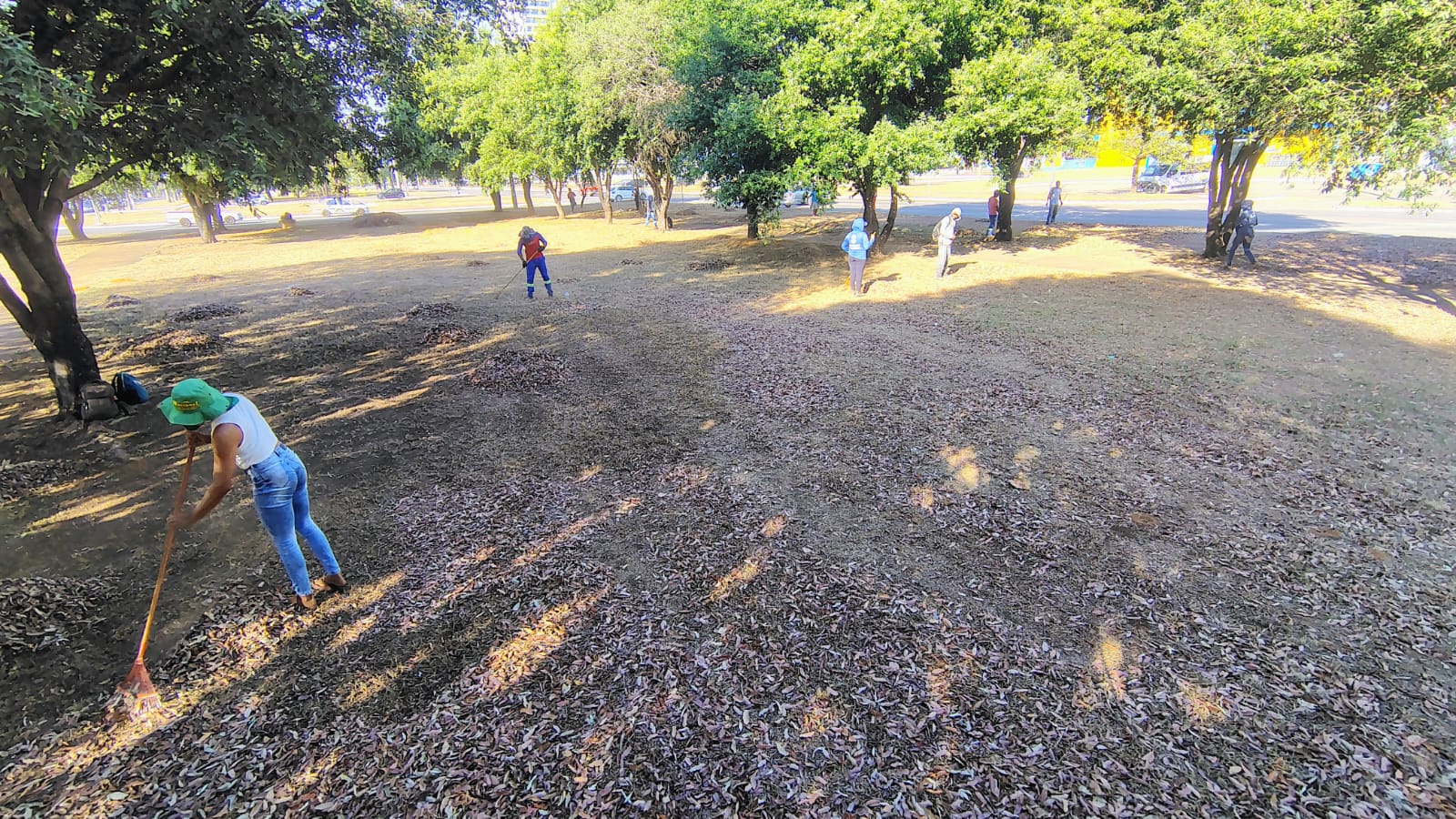 Roçagem, tapa-buracos e manutenção de áreas públicas marcaram ações da Zeladoria Urbana de Palmas durante a semana