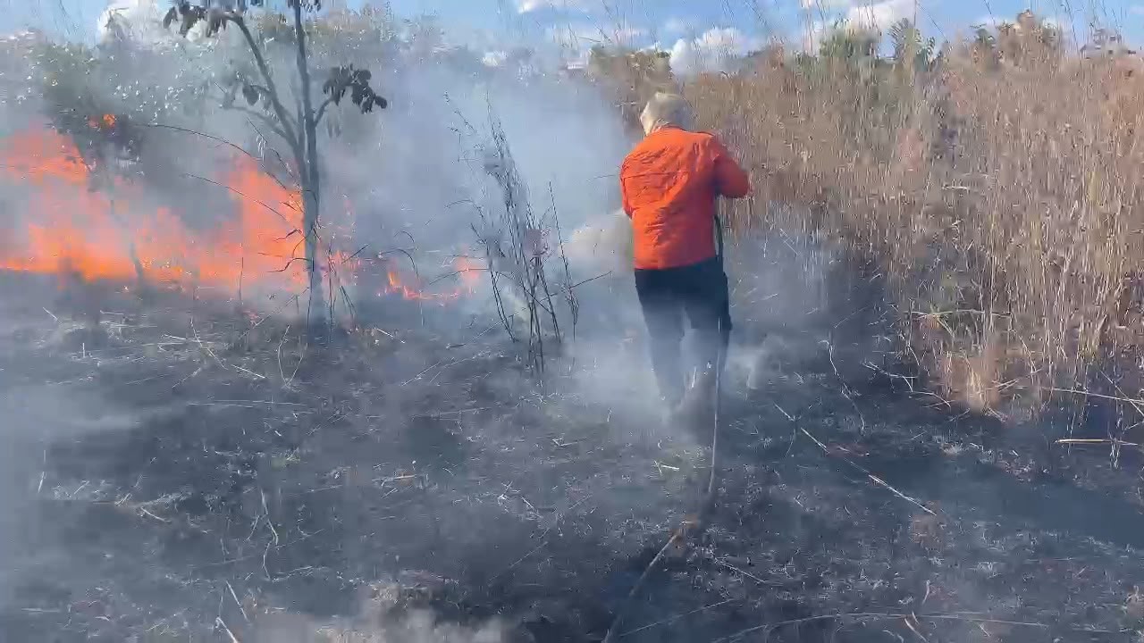 Defesa Civil de Palmas combate incêndio de grandes proporções em fazenda no distrito de Buritirana