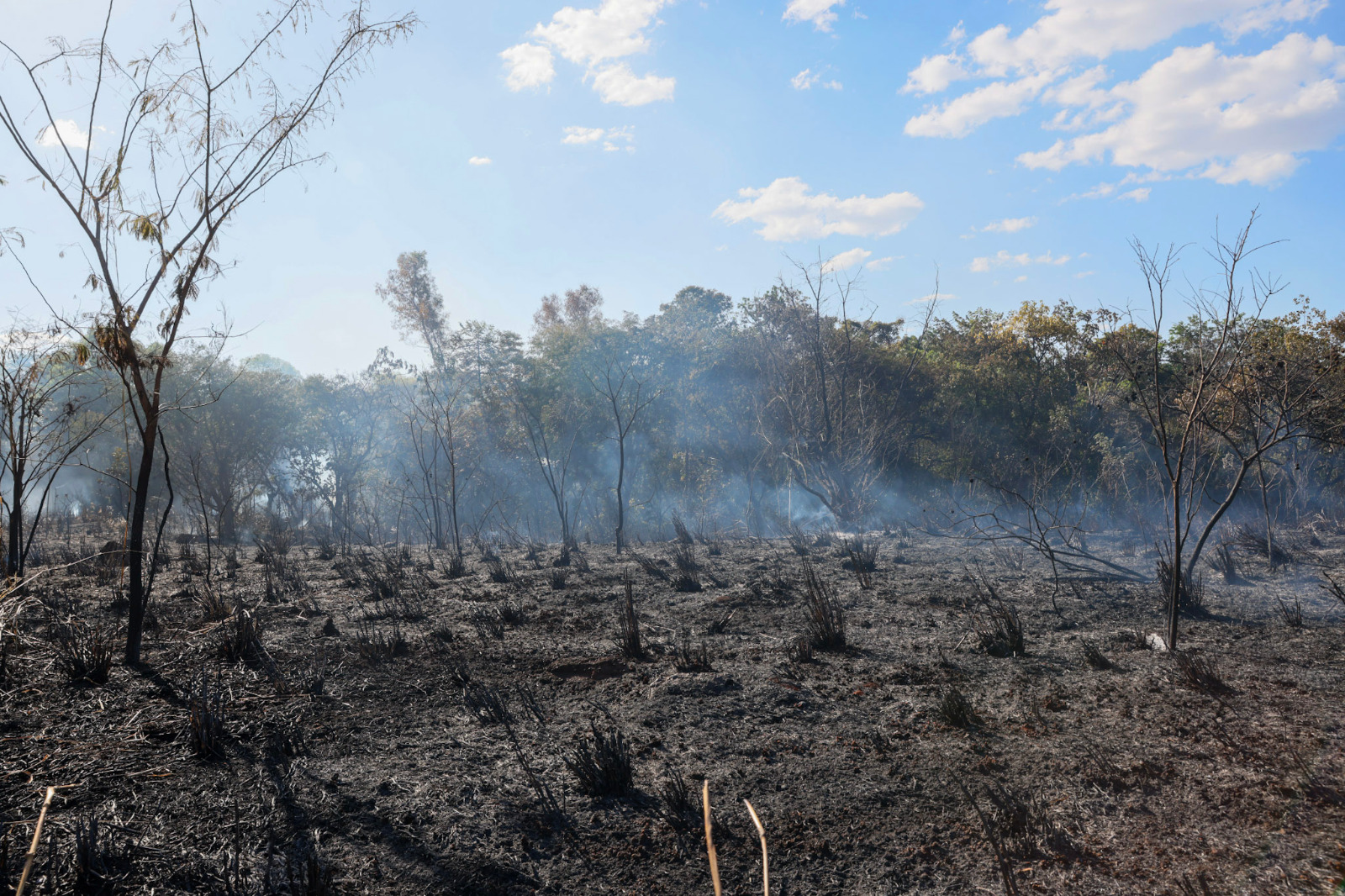 Atear fogo a folhas secas em quintais e calçadas gera riscos para o meio ambiente