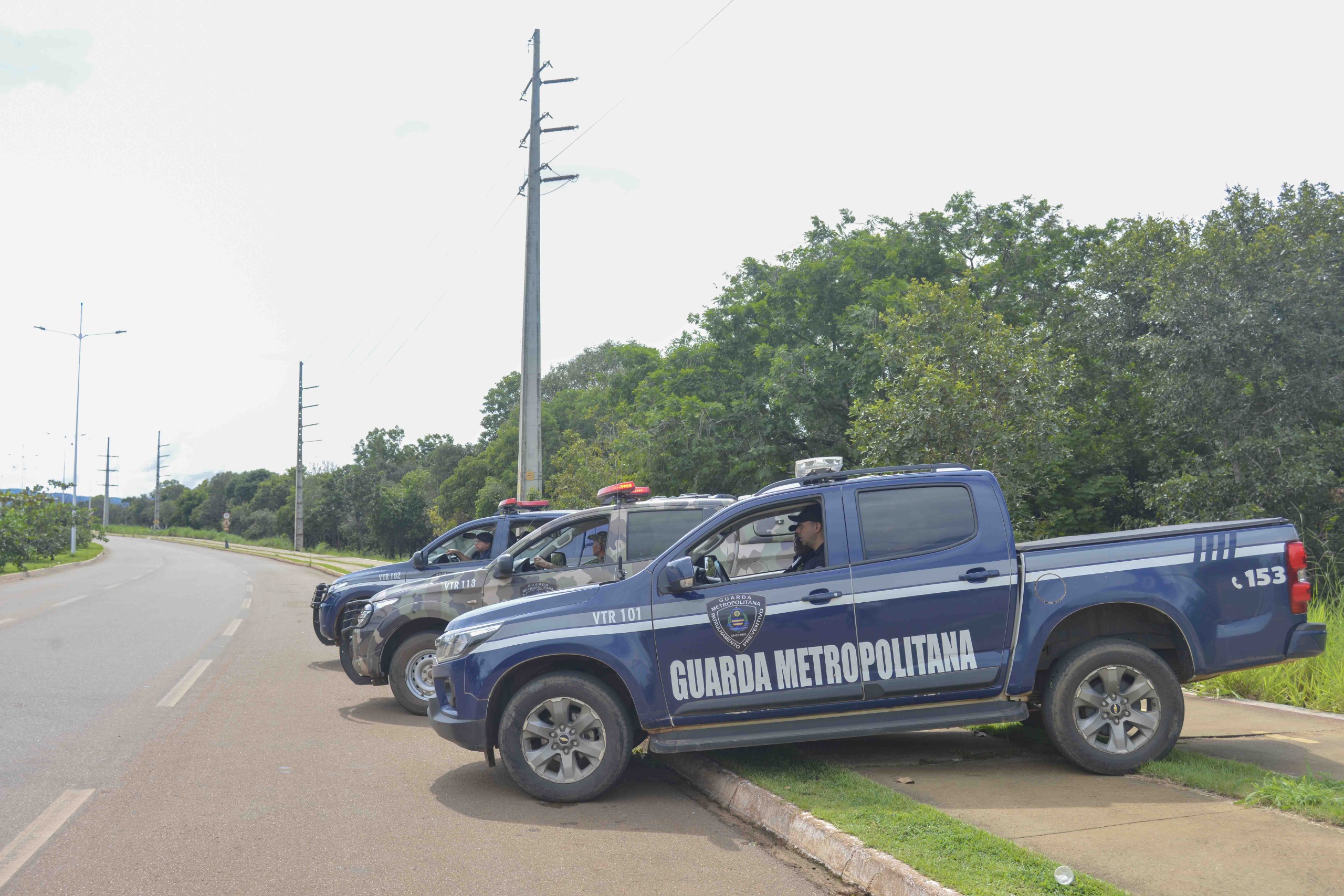 Guarda Metropolitana de Palmas localiza corpo em área de mata no Jardim Aureny III
