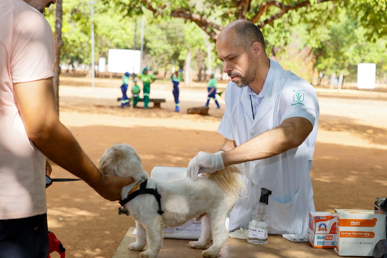 Prefeitura continua oferecendo vacina antirrábica gratuita na Capital