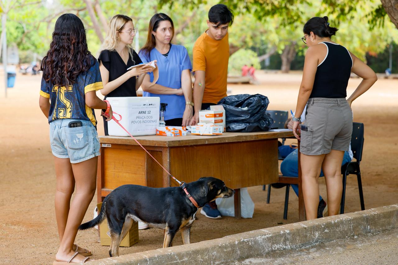 Dia D de Vacinação Antirrábica leva moradores de Palmas a 12 pontos da cidade