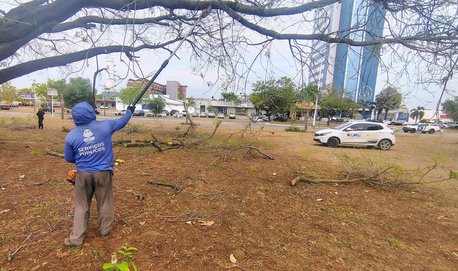 Prefeitura realiza poda de árvores na Avenida Siqueira Campos e outros pontos de Palmas