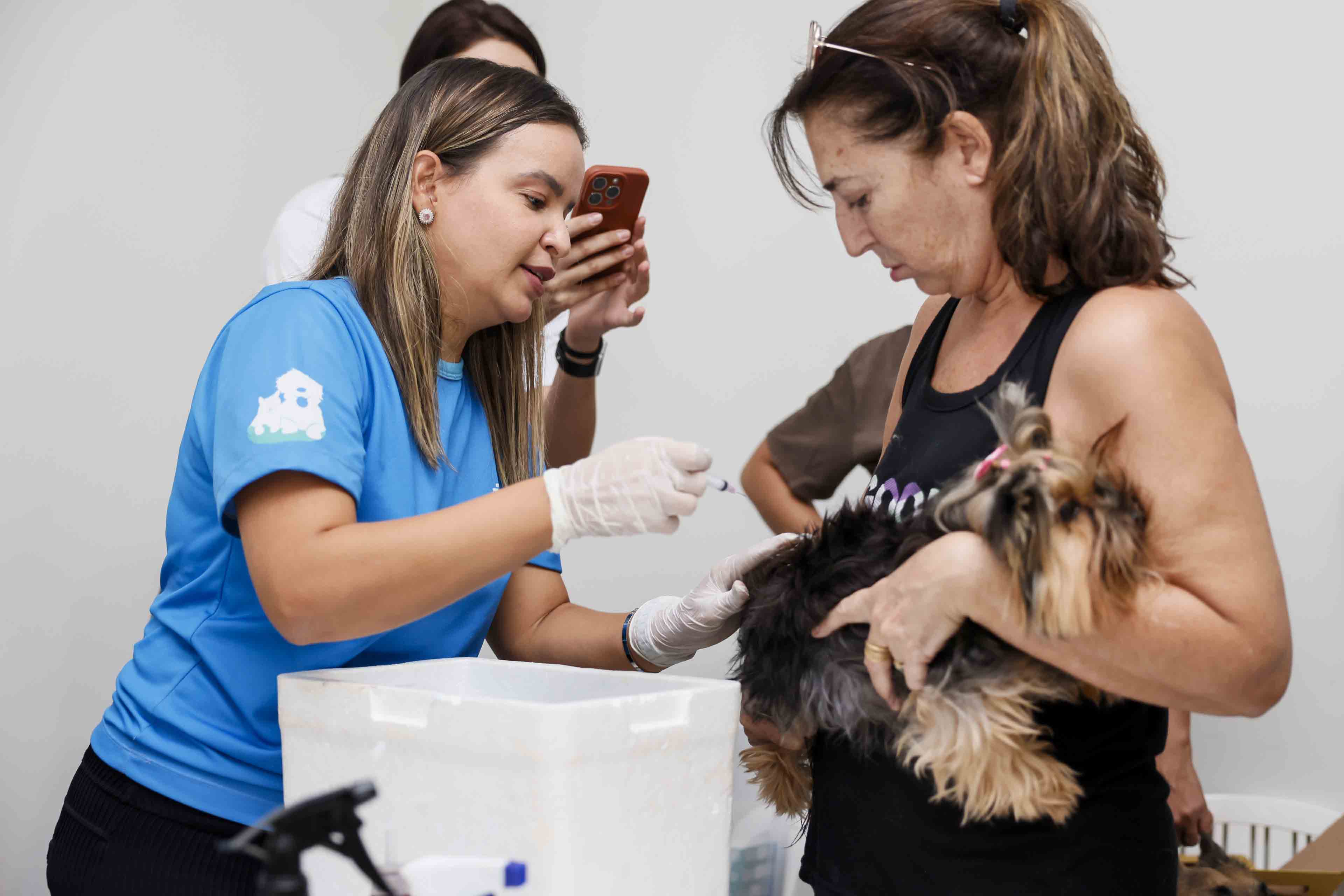 Agosto Verde-Claro reforça conscientização sobre zoonoses e cuidados com a saúde animal