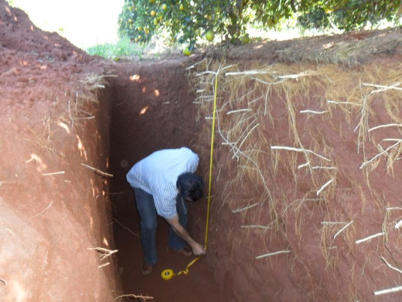 Fazendinha do Calor Humano inova em 2022 com abertura de trincheira de solo para mostrar raízes