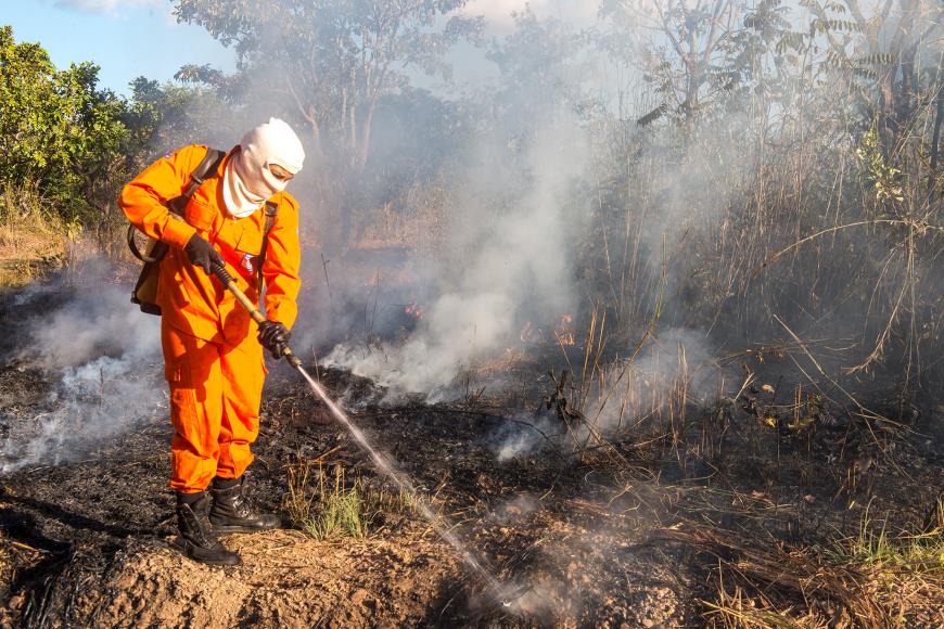 Prefeitura de Palmas realiza seleção para formação de brigadas para prevenção e combate a incêndios