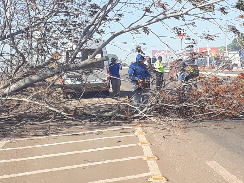 Força-tarefa trabalha na retirada de galhadas e lixos ocasionados pelos fortes ventos em Palmas