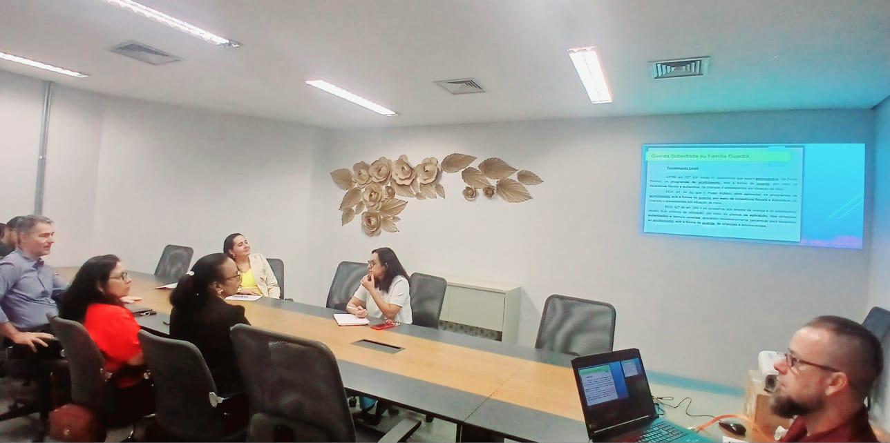 Ação Social de Palmas estuda estratégias para implantação do Programa Família Extensa