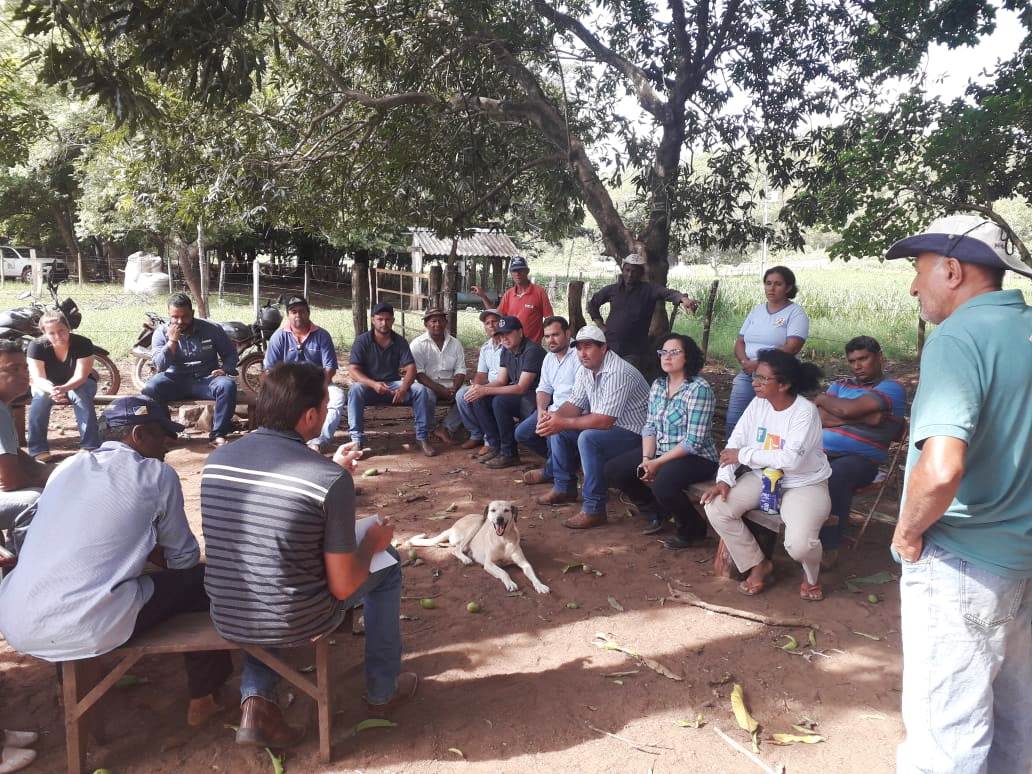 Produtores de Palmas recebem orientações para garantir o bom desempenho do gado leiteiro