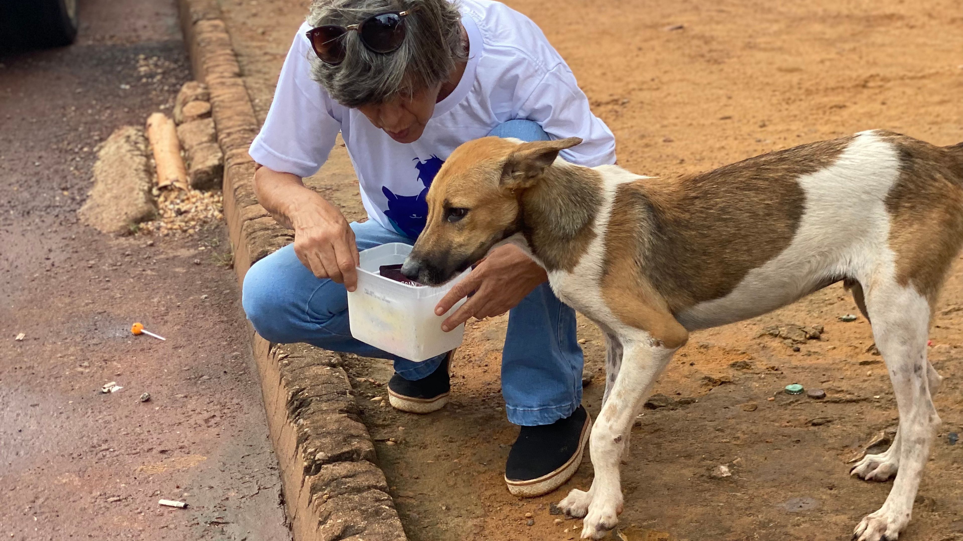 Com a umidade abaixo de 12%, Prefeitura reforça o cuidado com os animais 