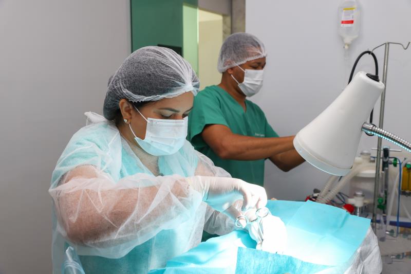 Agendamento de castração para mês de janeiro começa no dia 26 de dezembro