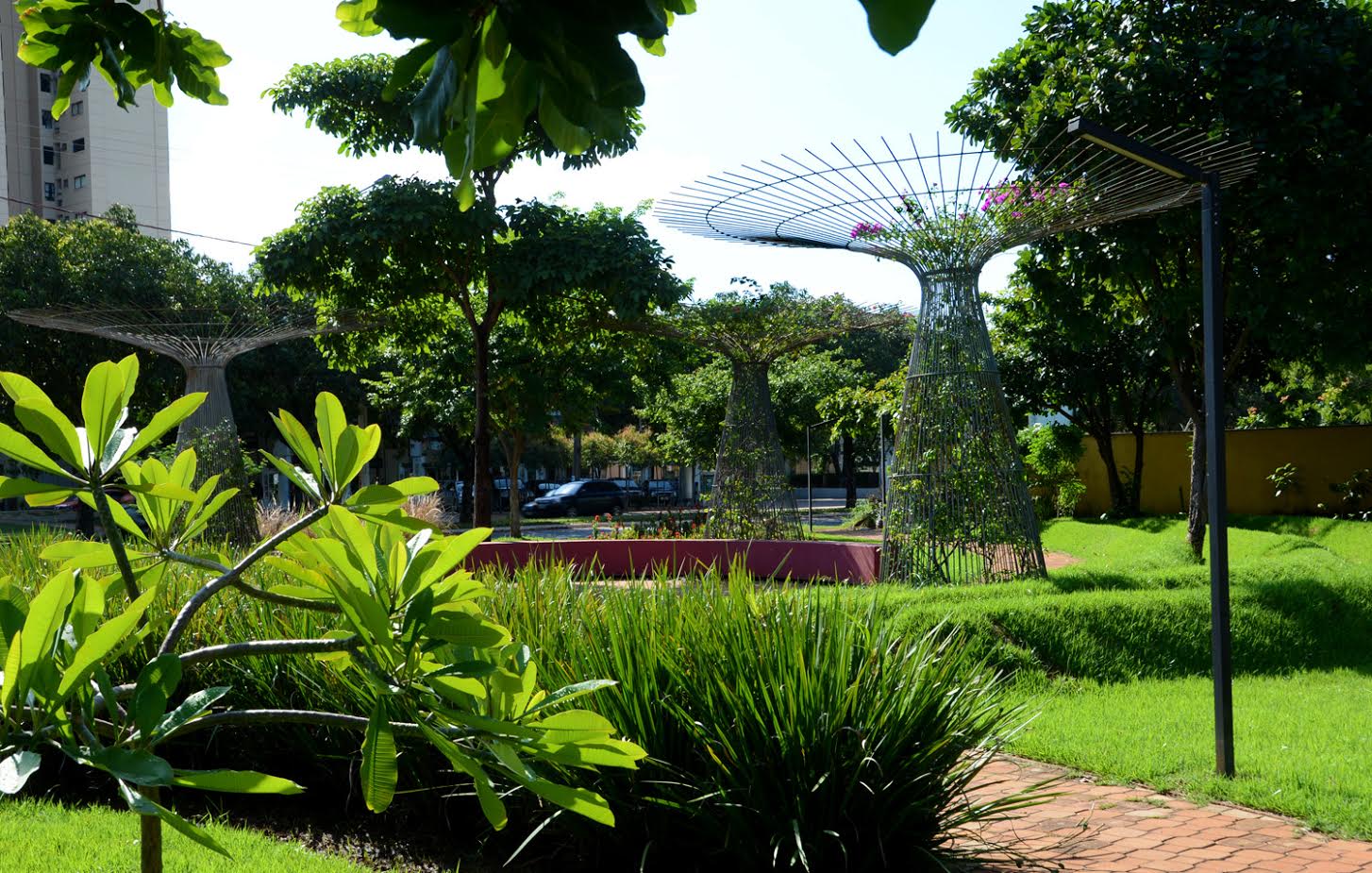 Palmas Mais Verde conclui primeira autorização para adoção de área