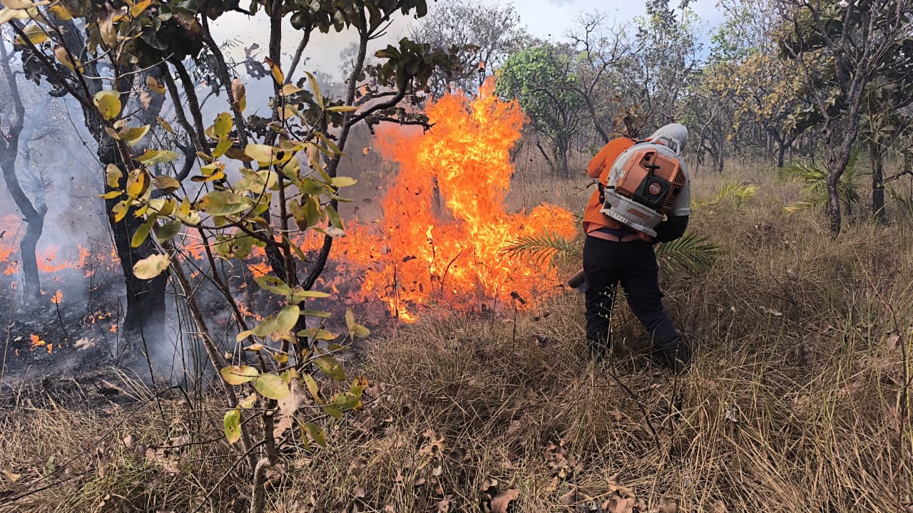 Incêndio foi controlado às 15h40