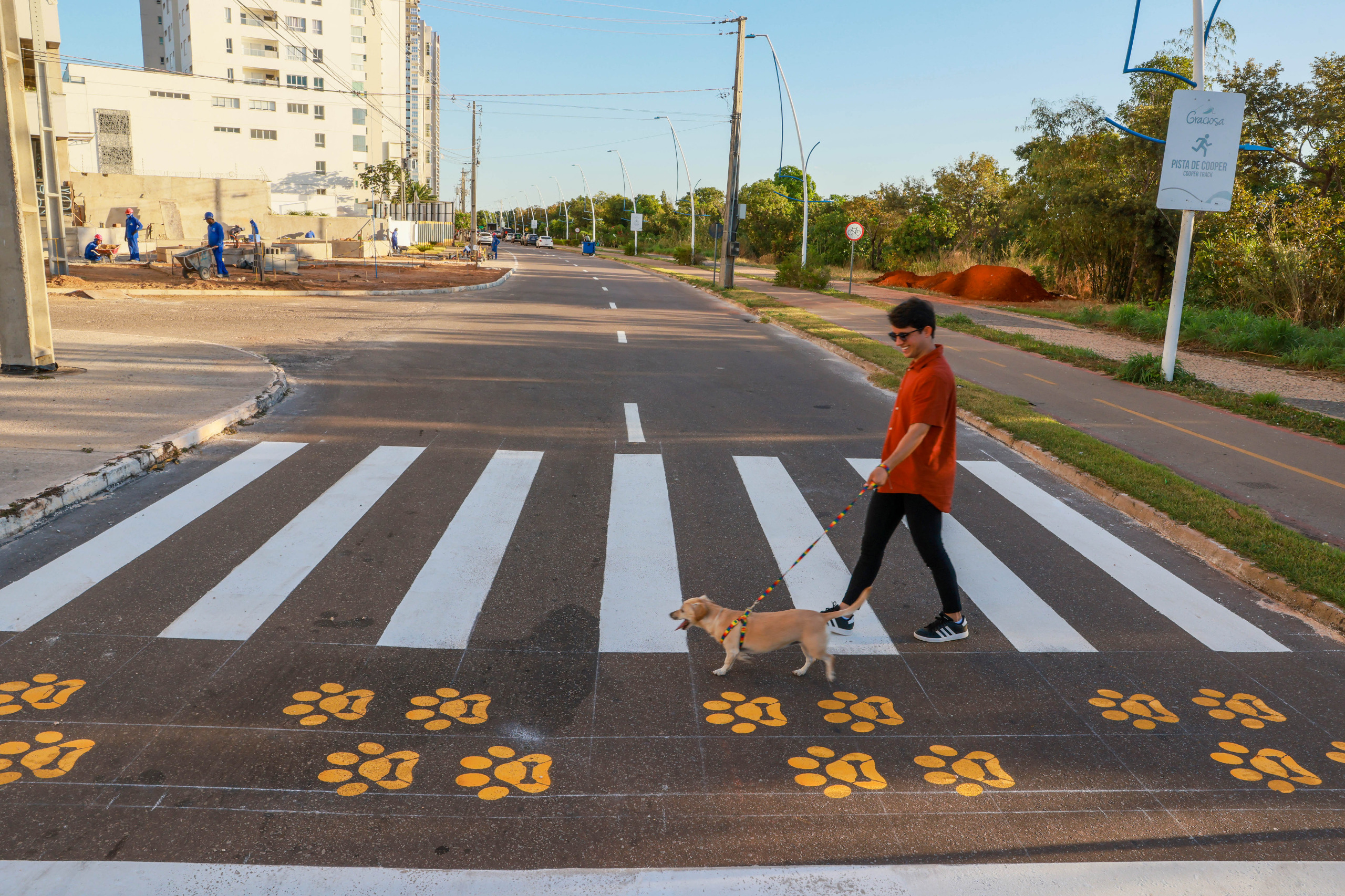 Palmas lança projeto PataDestre com faixa exclusiva para travessia de animais de estimação