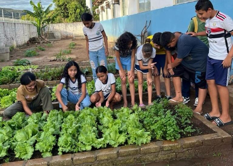 Alunos da Escola Crispim Alencar cultivam hortaliças e colhem aprendizado na escola