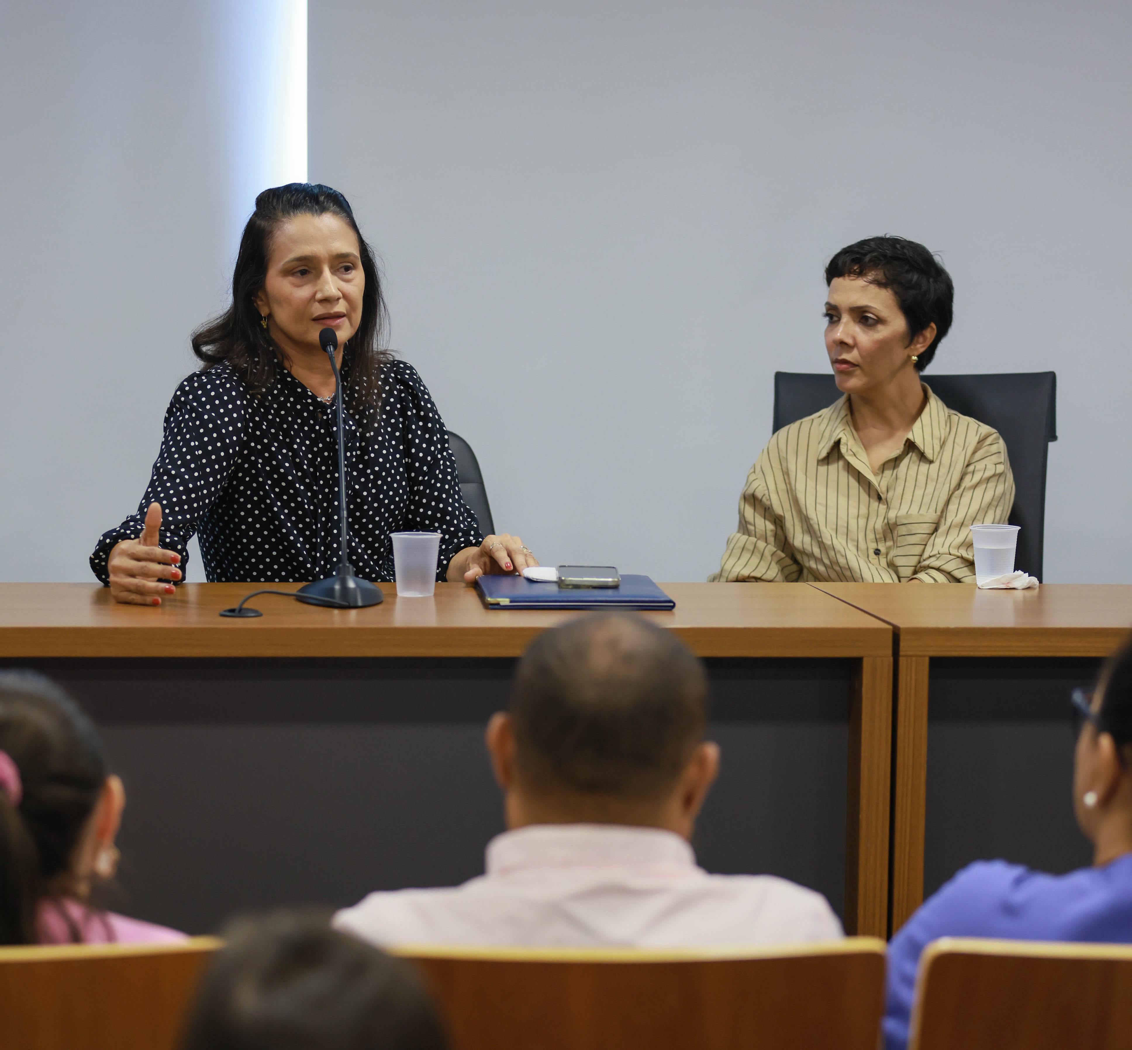 Roda de Conversa com Mães Atípicas na Câmara Municipal de Palmas