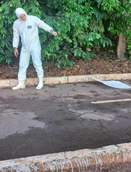 Semus realiza nova coleta de carrapatos no Parque Cesamar para monitoramento das espécies