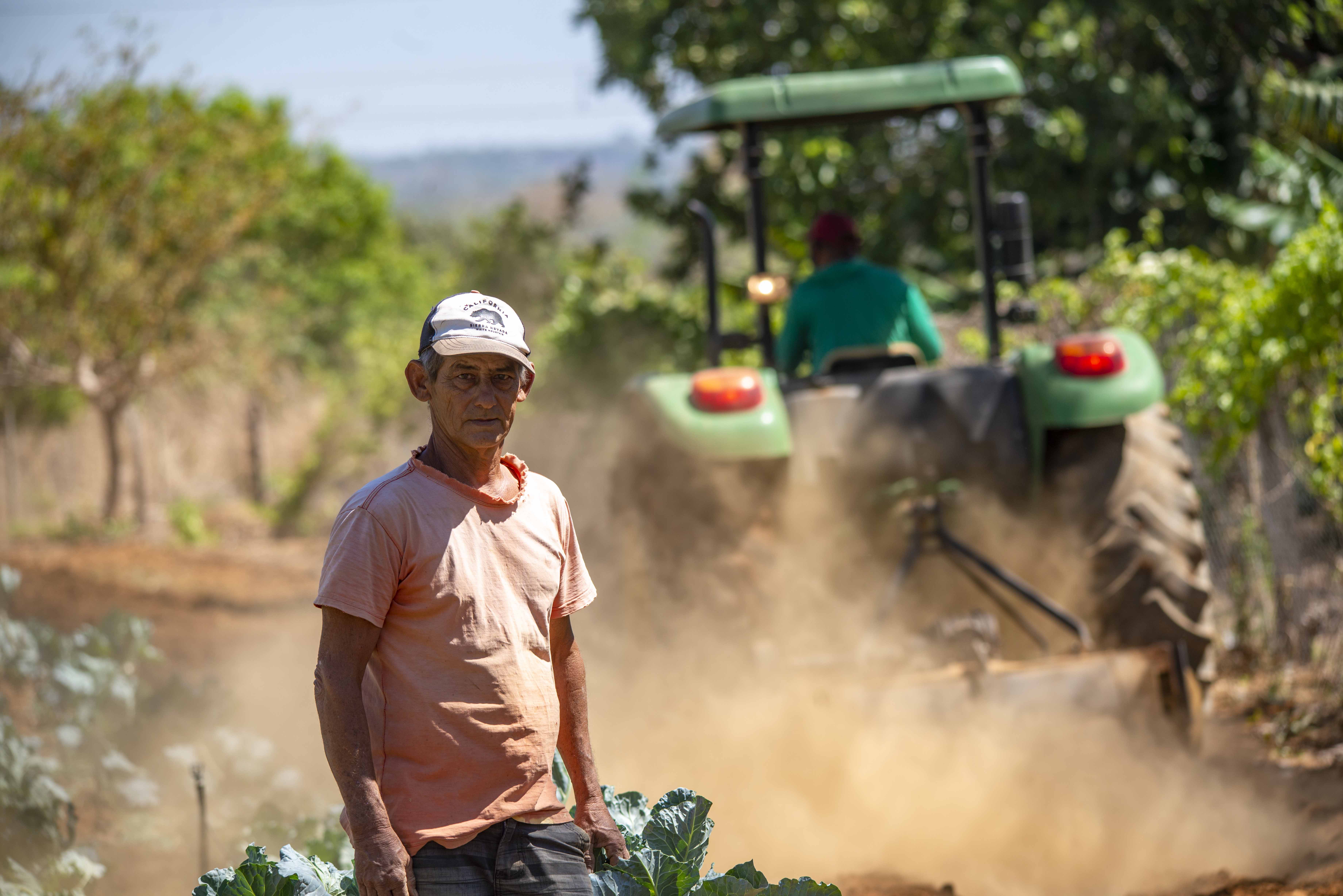 Agricultores familiares da Capital  têm produtividade aumentada e renda ampliada com assistência técnica