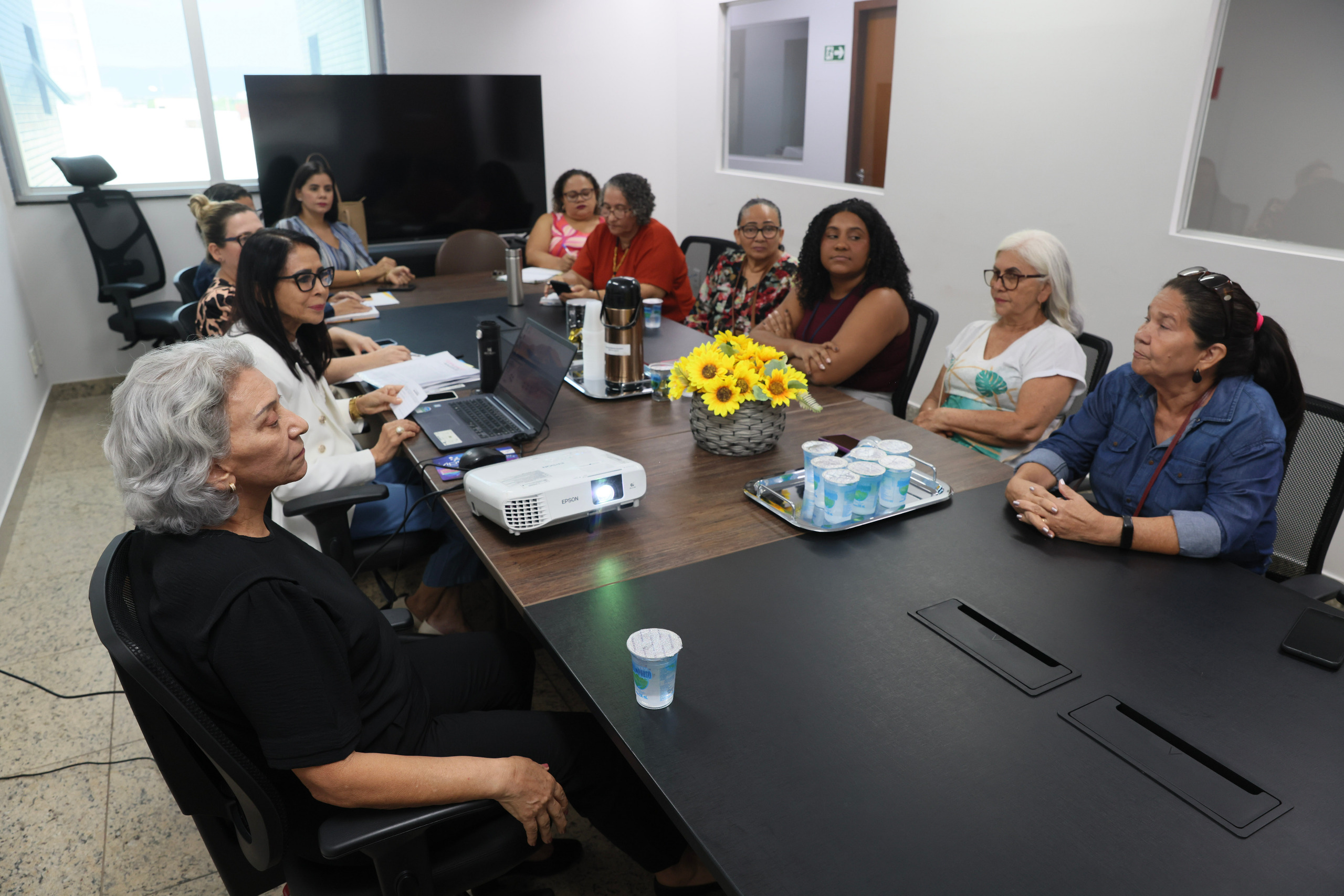 Conselheiras iniciaram a revisão do regimento interno da entidade - Foto - Lia Mara