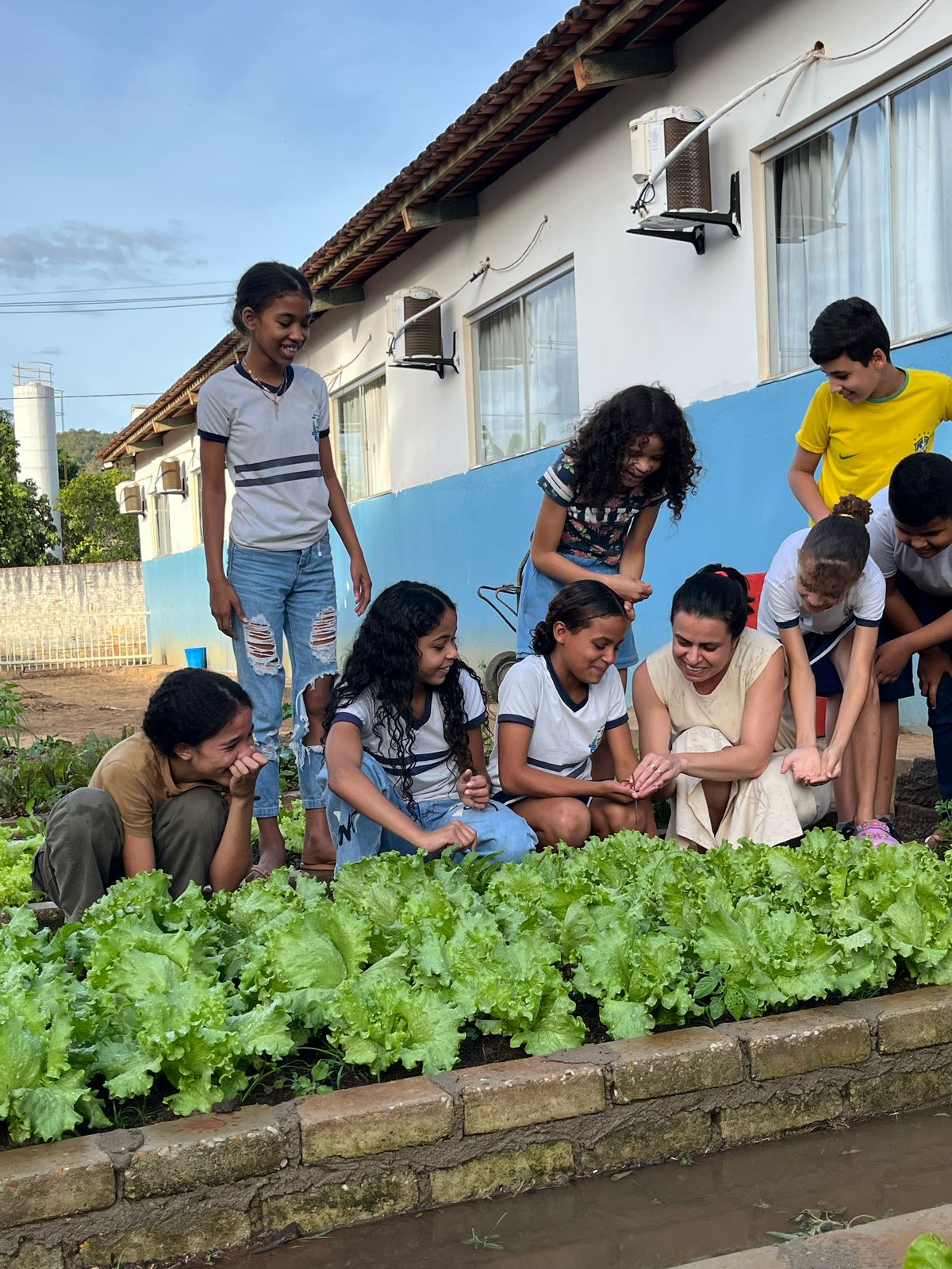 Todas as manhãs, antes ou depois das aulas, grupos de estudantes se revezam nas atividades da horta
