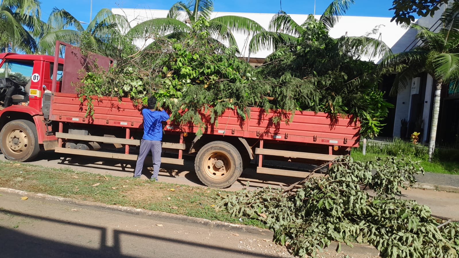 Retirada de galhada na ACNO 1 e 11 