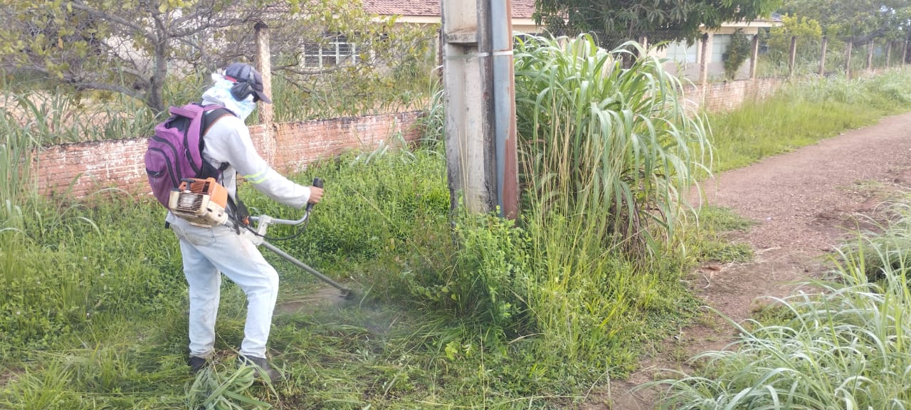 Corte de mato alto no setor Vale do sol, saída para o distrito de Taquaruçu