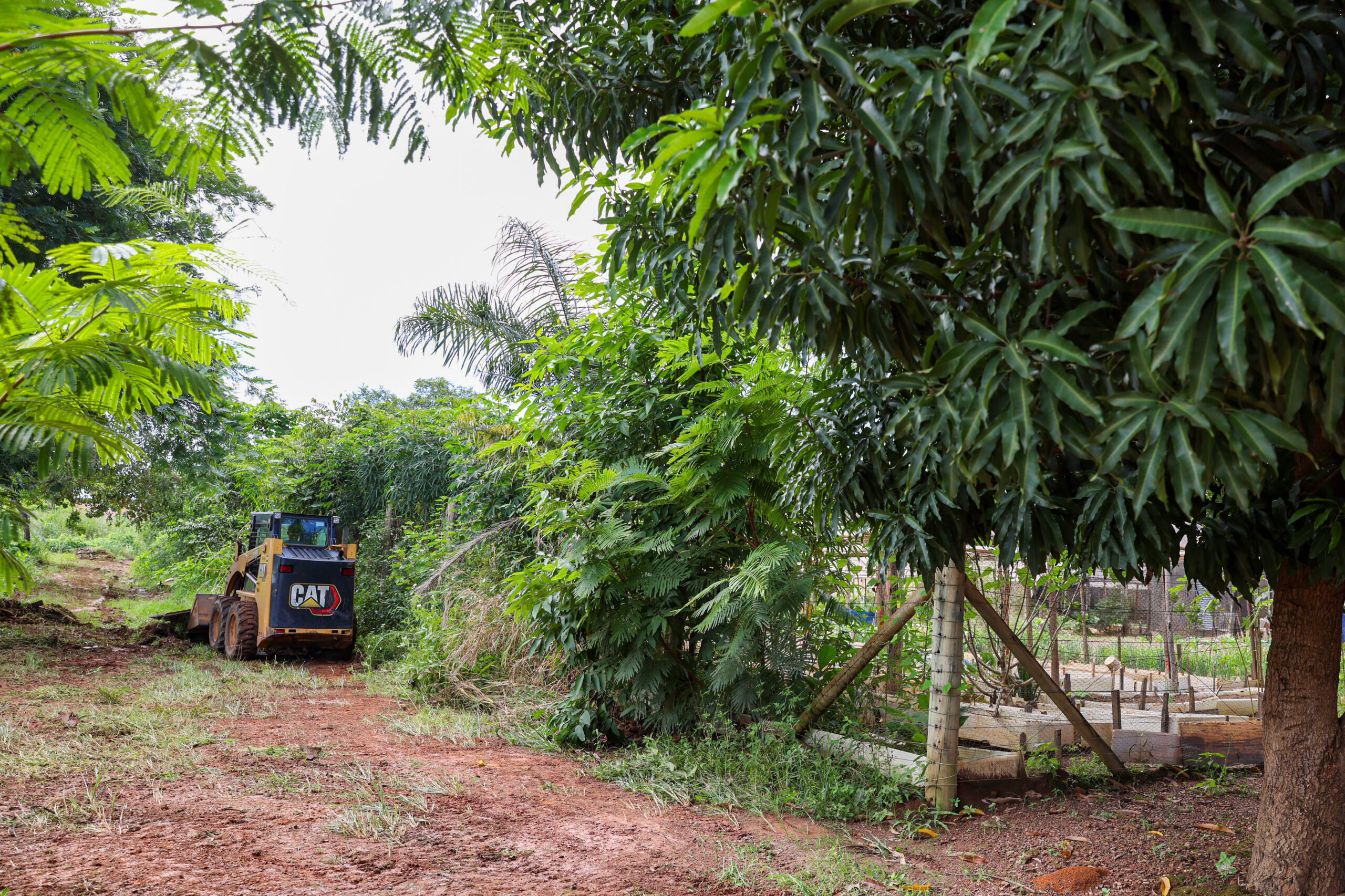 Prefeitura inicia limpeza das áreas externas das hortas comunitárias