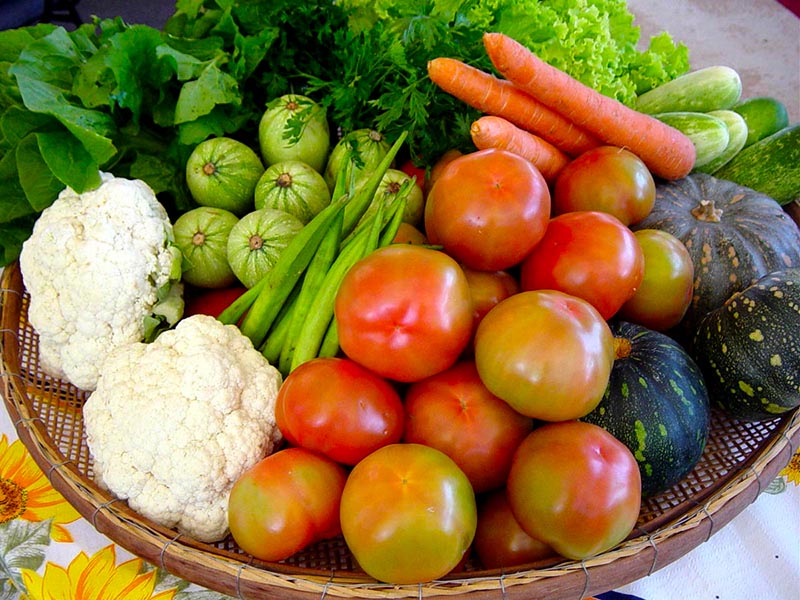 Palmas criará uma Câmara Intersetorial de Segurança Alimentar e Nutricional