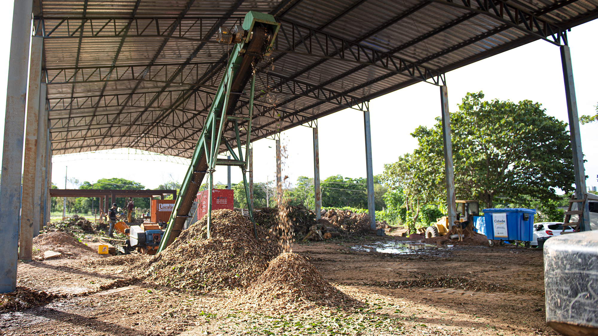 Ecopontos de Palmas recebem inservíveis feitos exclusivamente de madeira